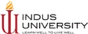 Indus University